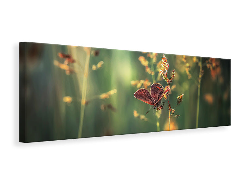 panoramic-canvas-print-last-light