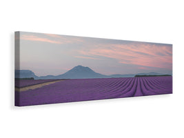 panoramic-canvas-print-lavender-field