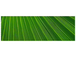 panoramic-canvas-print-palm-stripe-i