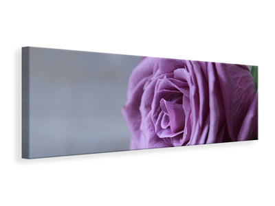 panoramic-canvas-print-rose-in-purple-xxl