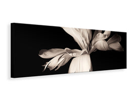 panoramic-canvas-print-simplicity