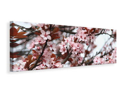 panoramic-canvas-print-spring-is-here