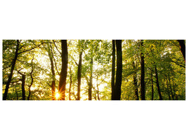 panoramic-canvas-print-sunset-between-trees