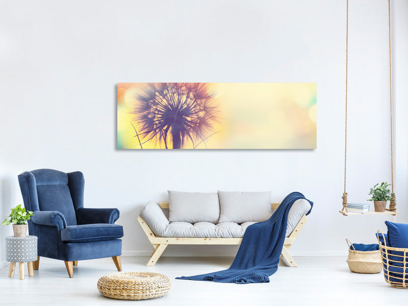 panoramic-canvas-print-the-dandelion-in-the-light