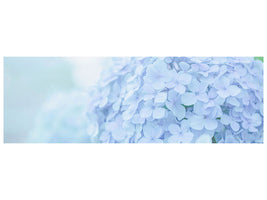 panoramic-canvas-print-the-hydrangea