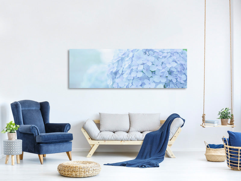 panoramic-canvas-print-the-hydrangea