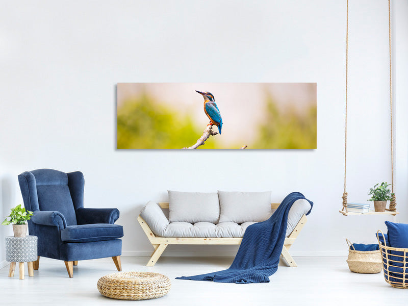 panoramic-canvas-print-the-kingfisher