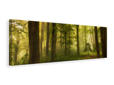 panoramic-canvas-print-the-little-tree