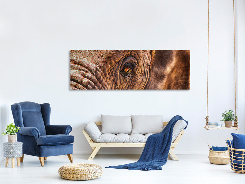 panoramic-canvas-print-the-look-of-the-elephant