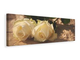 panoramic-canvas-print-the-purity-of-the-roses