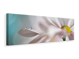 panoramic-canvas-print-tiny-duo