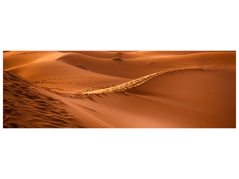 panoramic-canvas-print-traces-in-the-desert