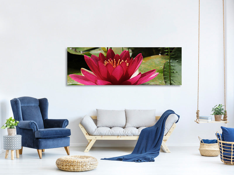 panoramic-canvas-print-water-lily-in-red